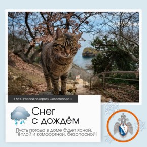 Доброе утро, Севастополь!. По данным гидрометцентра, 1 февраля в Севастополе будет облачно