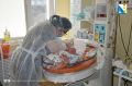 В январе в севастопольском роддоме № 2 родились 294 малыша