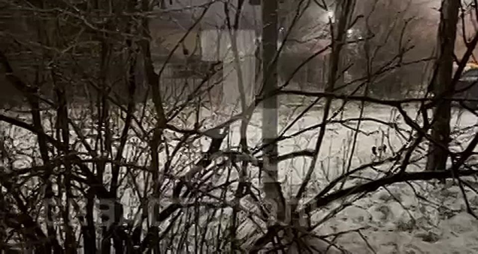 В Севастополе выпал снег.. Синоптики сообщают об ухудшении погодных условий 2 февраля. Днём порывы северо-восточного ветра могут достигнуть 17-22 м/с, ожидаются снег и дождь со снегом