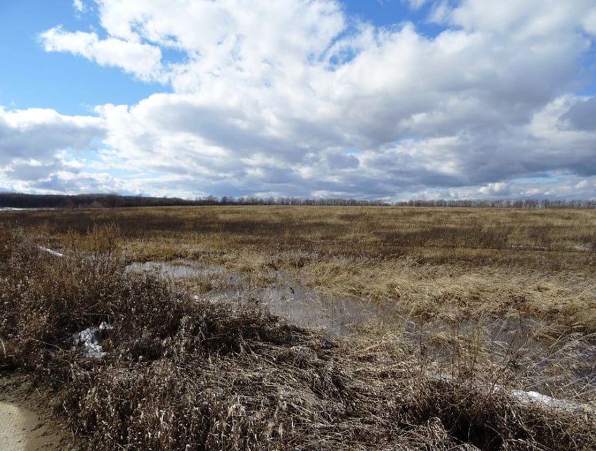 На территории Севастополя и Крыма выявлено 28 неухоженных участков сельхозназначения