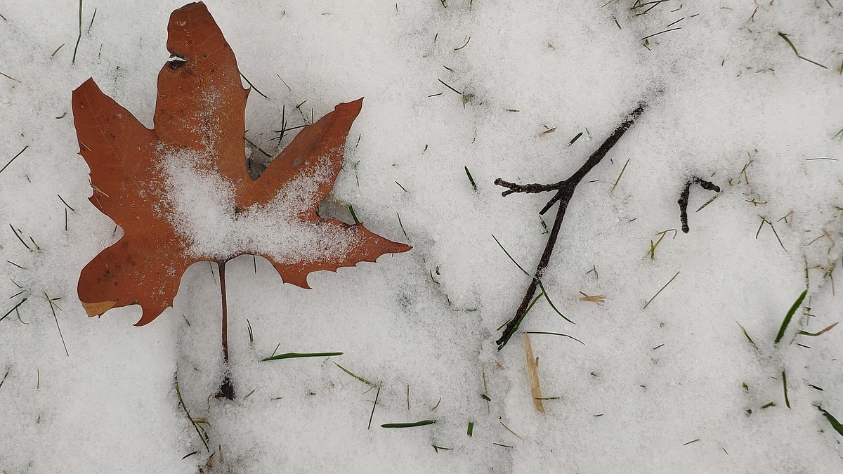Погода на 3 февраля 2026 года в Крыму и Севастополе: воздух прогреется до 3 градусов