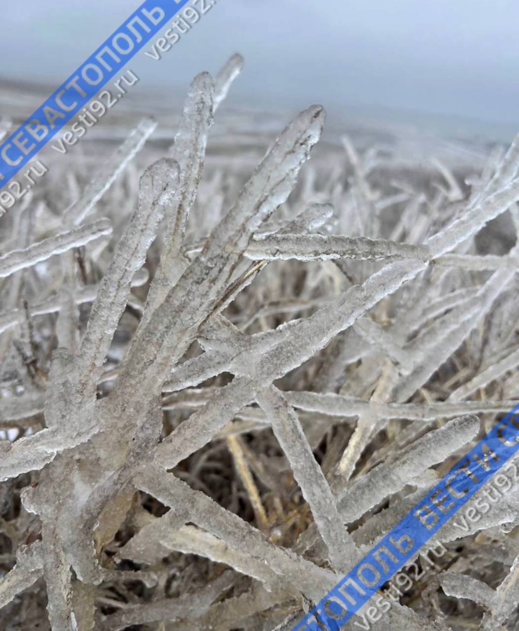 Минусовая температура в городе начинает отступать!