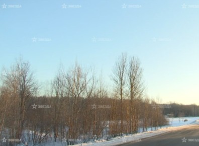 Под Петербургом нашли тело пропавшего мальчика