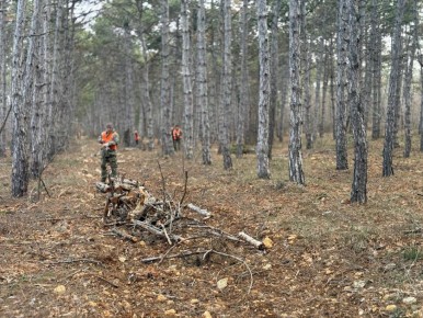 65 �������� � ���� ����� ��������������� � ������