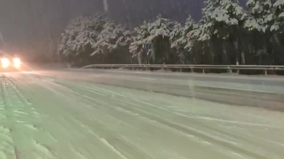 �� ���� ����� ��������� ��������, ������ ������ ������������ ������ ������� � ������ ������ � ���������