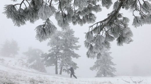 �� ��-����� ������ ����� � 3,5 ���� ��������� �����