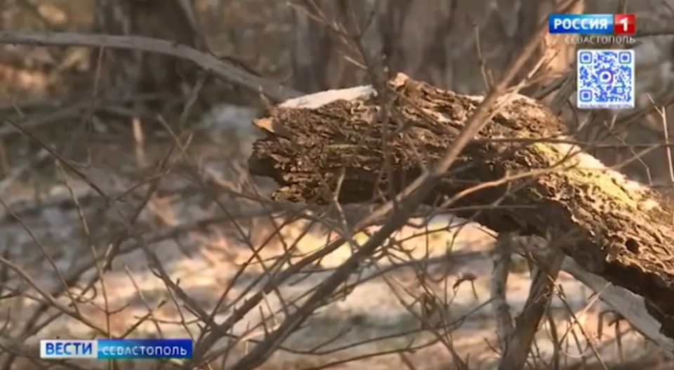 ��� ��������������� ���������� ����������� ����������� �������� ��������� ������� �������