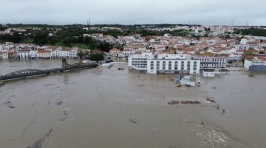 ������� 11 ������� � ������ ������� � ����������