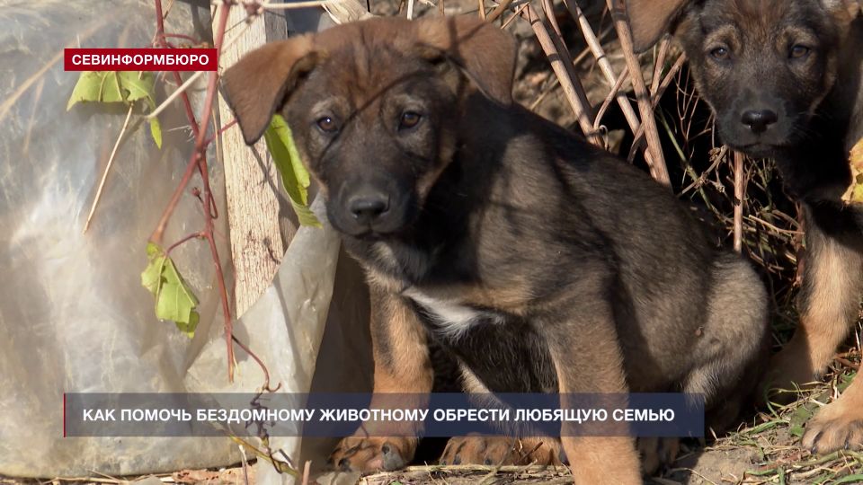 �� �������� ������ � ��������� �����: ��� �������� ������ ���������� ���������