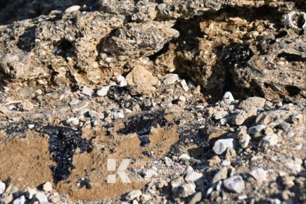 ������ ������ ������� ����������� ����� � ����� ��������� ������ �� ��������� �����