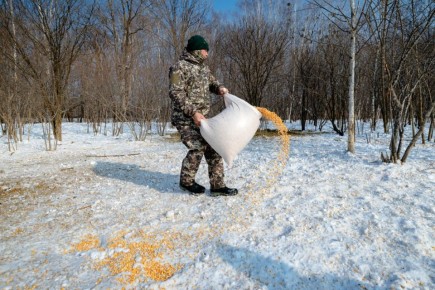 � ���������� ���� ������������� ����� ��������