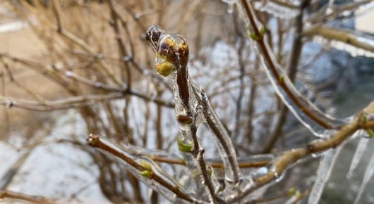 ����� � ��������: �� ������ ������� � ����� �� ������ �����������