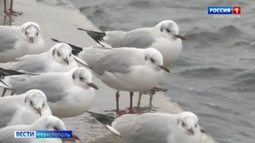 � ����� � ����������� ��������� ����� ����� �����������