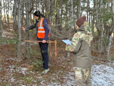 � ���������� ����������� ������ �������� ������� � �������