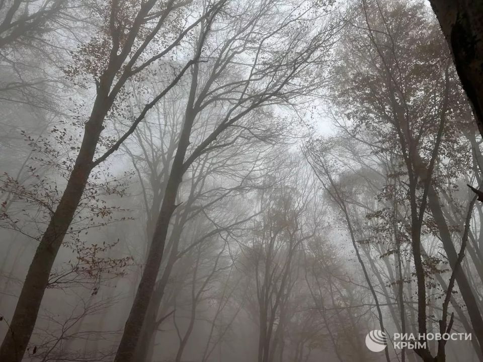 Прогноз погоды в Крыму на воскресенье