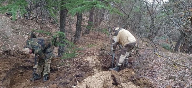 � ����������� ����� �������� � ��������� 10 ��������������