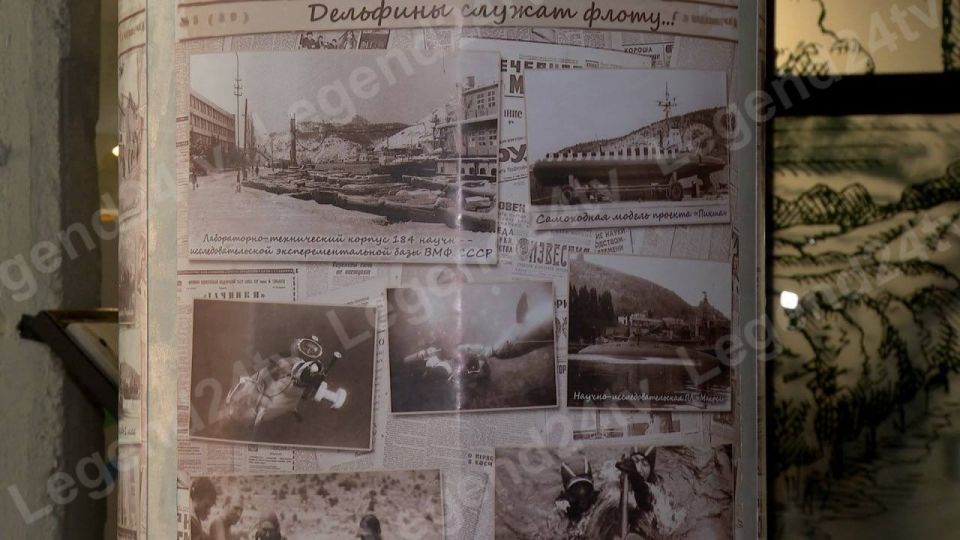 � ��� ����� ���� � ��������� ����� ��������� ������� ����������, ����������� ������� ��������� ������