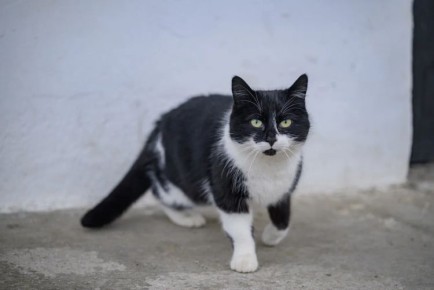 �� �������� ������������ ����������� ������� ����� 100 ��������