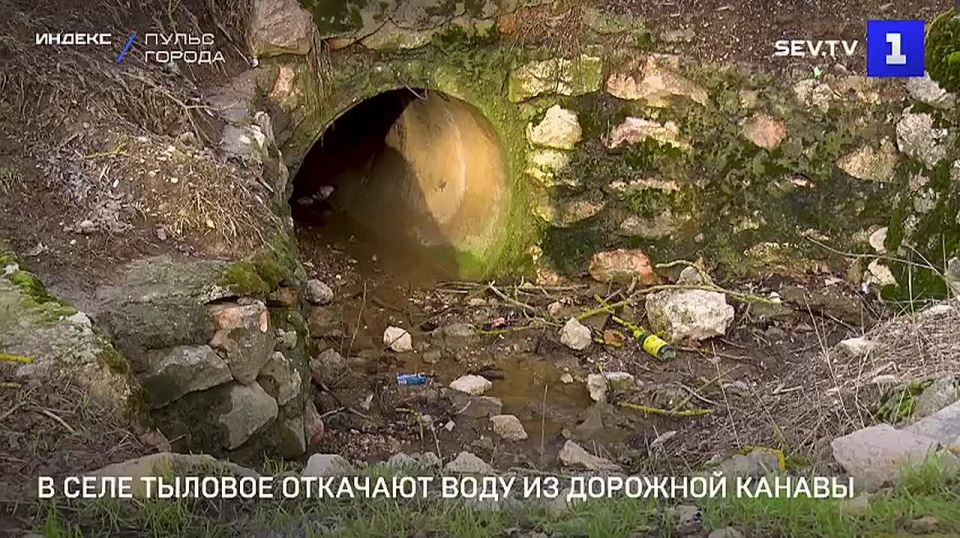 �� ������� ������ ������� �������� �������� ��� � ������� �������� ���� �� �������� ����������� ������