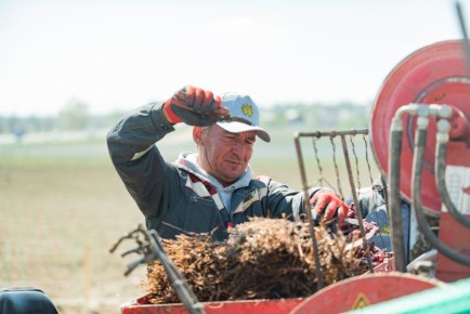 ����������������� ������������ ����������� ������������ ����� 4 ����� ������������