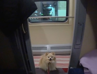 � ������� ��������� � �������� ��������� ��������