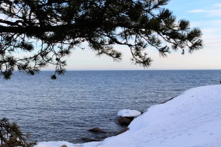 ����� � ����������� ����������� �������� �����������