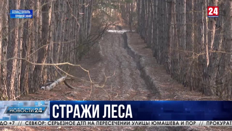 ���������� � �������������� ������ ������ � ����� �����������