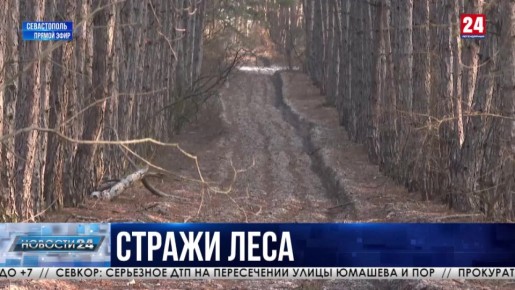 ���������� � �������������� ������ ������ � ����� �����������