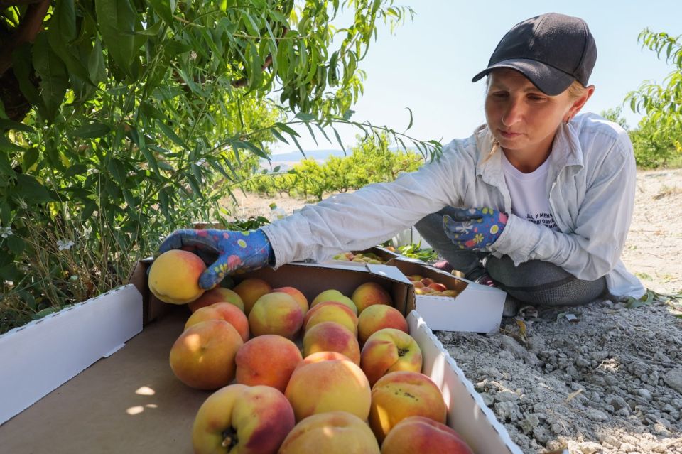 � ������������� ����������� � ������ ������������