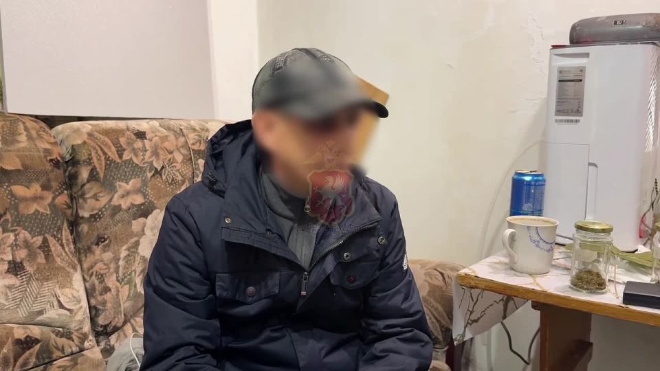 В Севастополе сотрудники наркоконтроля задержали садовода, который следовал принципу «летом — помидоры, зимой — марихуана»