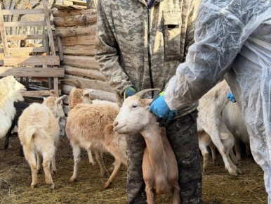 � ����������� ���������� �������� ���������� � ����������� ������� �������� �����