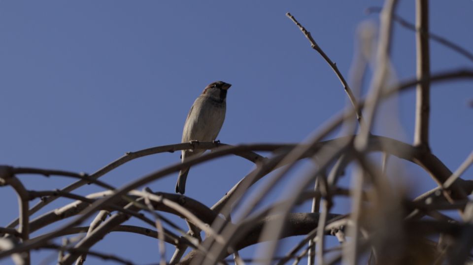 � ������ ������� ����� 45 ��������� ��������