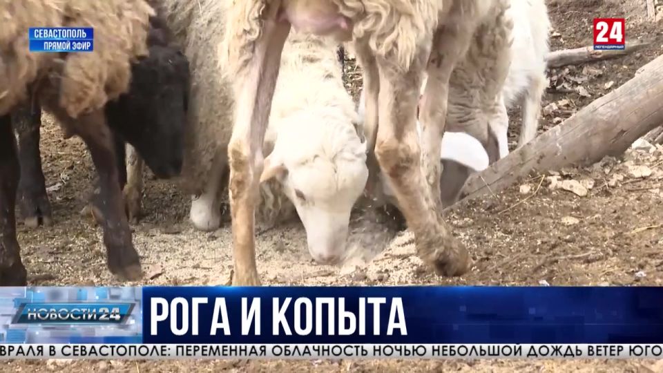 ���� �� �������� ��������� � �����������