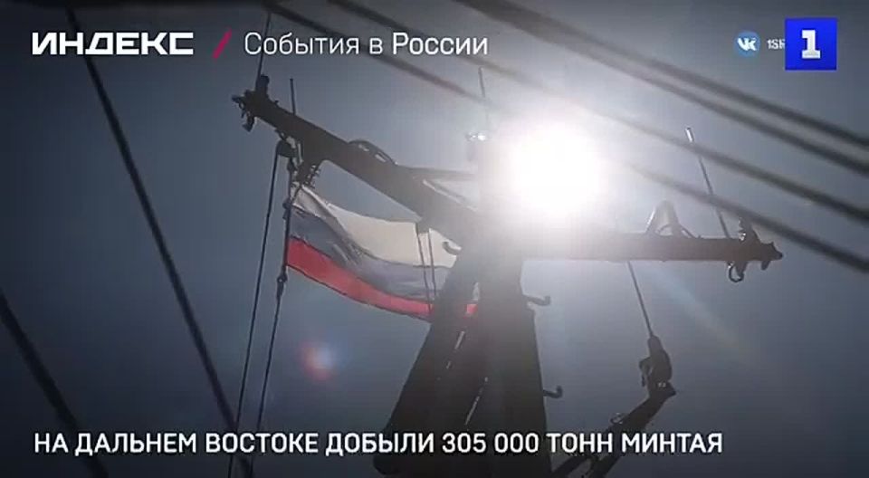 �� ������� ������� ������ 305 000 ���� ������