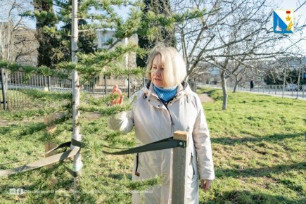 �� ����� ��������������� �������� 146 ��������