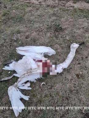 ������������� ������ ����� � ������ ����� ��������