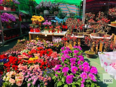 ������� ������� ��������� �������� ������