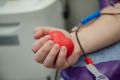 Более 350 человек сдали кровь в Севастополе за неделю
