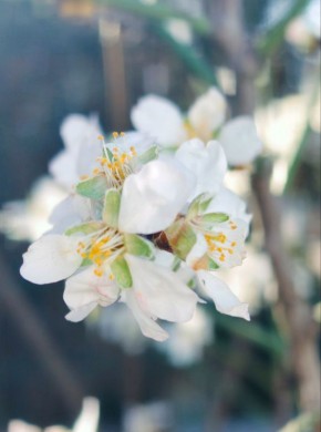 � ������ �����, ������!. � ����������� ���� �����