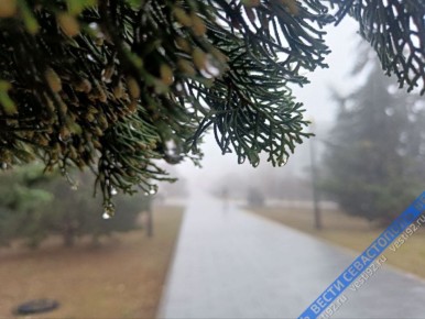 � ����������� ��� ������� ������� ����� � ������ ������