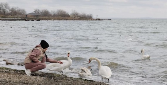 15-16 ������� � ����� �������� ����� �� 25 �/�