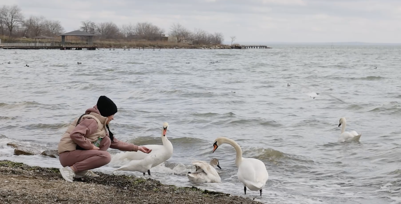 15-16 февраля в Крыму усилится ветер до 25 м/с