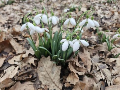 Всем добра!. В Севастополе в воскресенье без осадков, вечером небольшой дождь