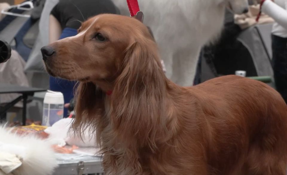 � ������ ������ �������� ������� ������ � �����