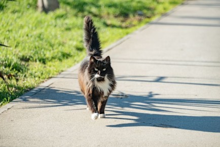 �� �������� ������������ ����������� ������� ����� 150 ��������