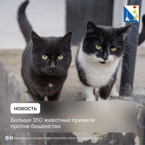 ��� 162 ������� ������� ������������ ����������� ������ ���������