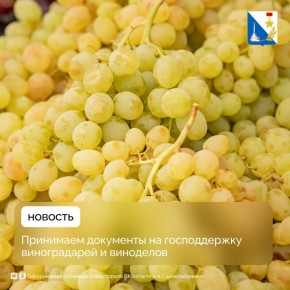 Поддерживаем виноградарей и виноделов