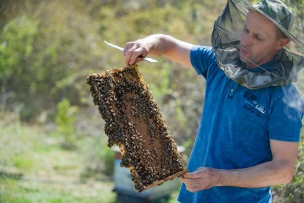 � ����������� ��� ���� ������ �� ������������ ������������