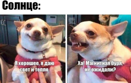 ������� ��������� ����: 16�22 �������