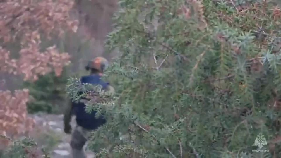 ���������� ����������� ���������� ��� ������������